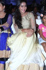 Dikkulu Choodaku Ramayya Movie Audio Launch